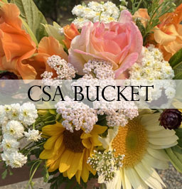 CSA Flower Bucket Orders