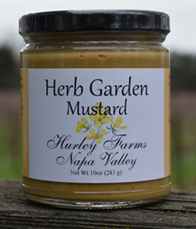 Herb Garden Mustard
